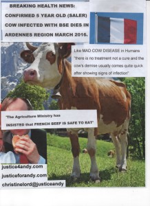 poster french beef bse cow march 2016